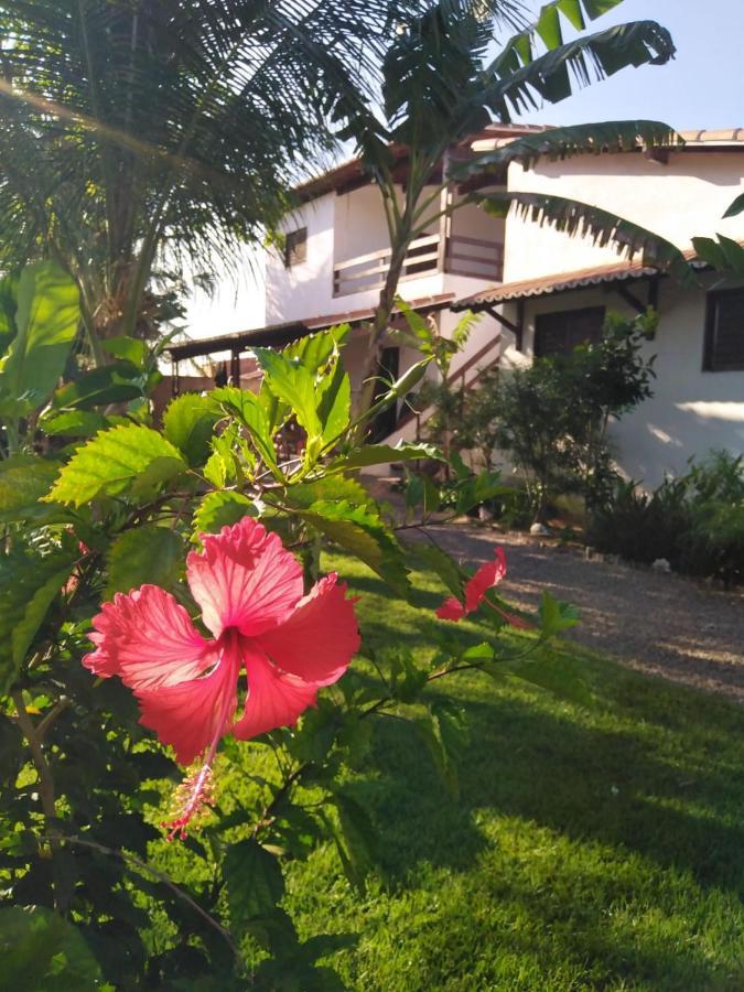 Tropicana Village Sao Miguel do Gostoso Bagian luar foto