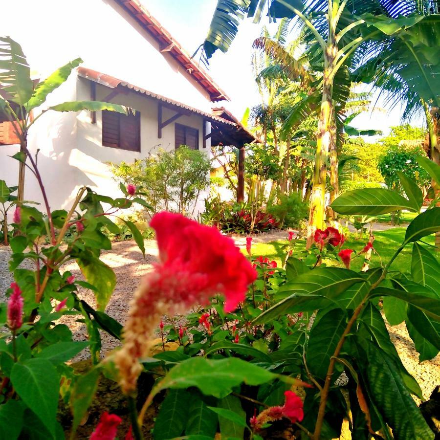 Tropicana Village Sao Miguel do Gostoso Bagian luar foto